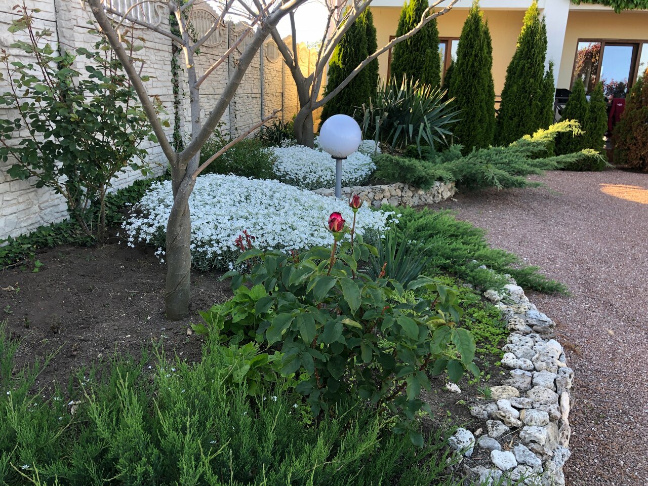 Гостевой дом Амидея Межводное-72