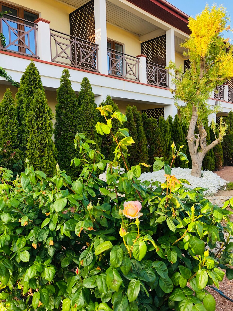 Гостевой дом Амидея Межводное-68