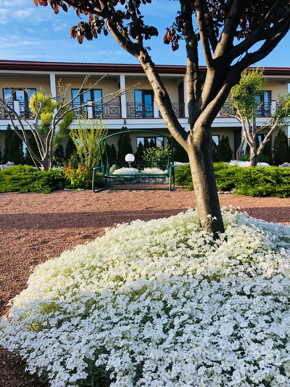 Гостевой дом Амидея Межводное-23