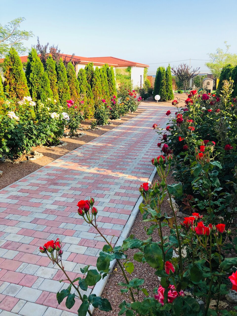 Гостевой дом Амидея Межводное-25