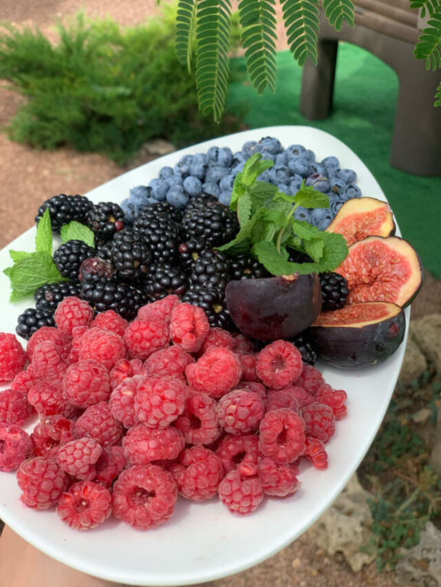 Гостевой дом Амидея Межводное-39