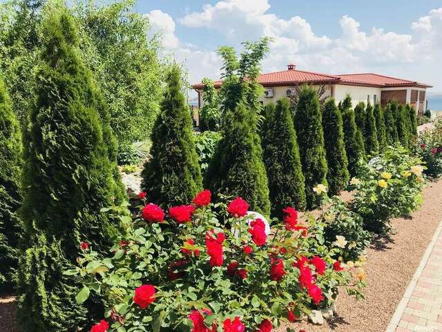 Гостевой дом Амидея Межводное-73