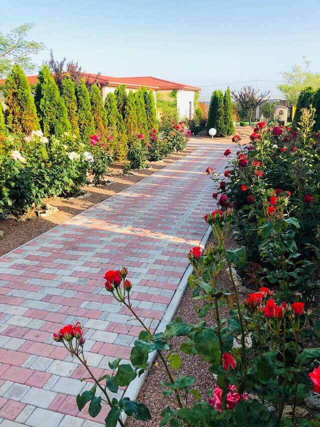 Гостевой дом Амидея Межводное-24