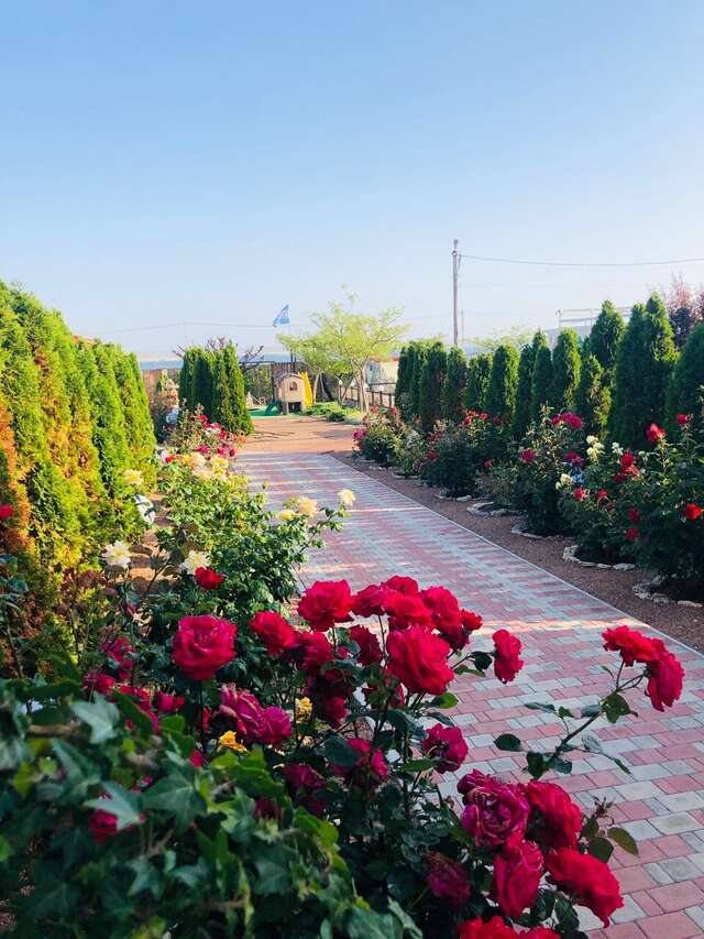 Гостевой дом Амидея Межводное-55